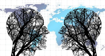 -体育新闻中心协同多方建立体育内容风控机制，体育新闻机构