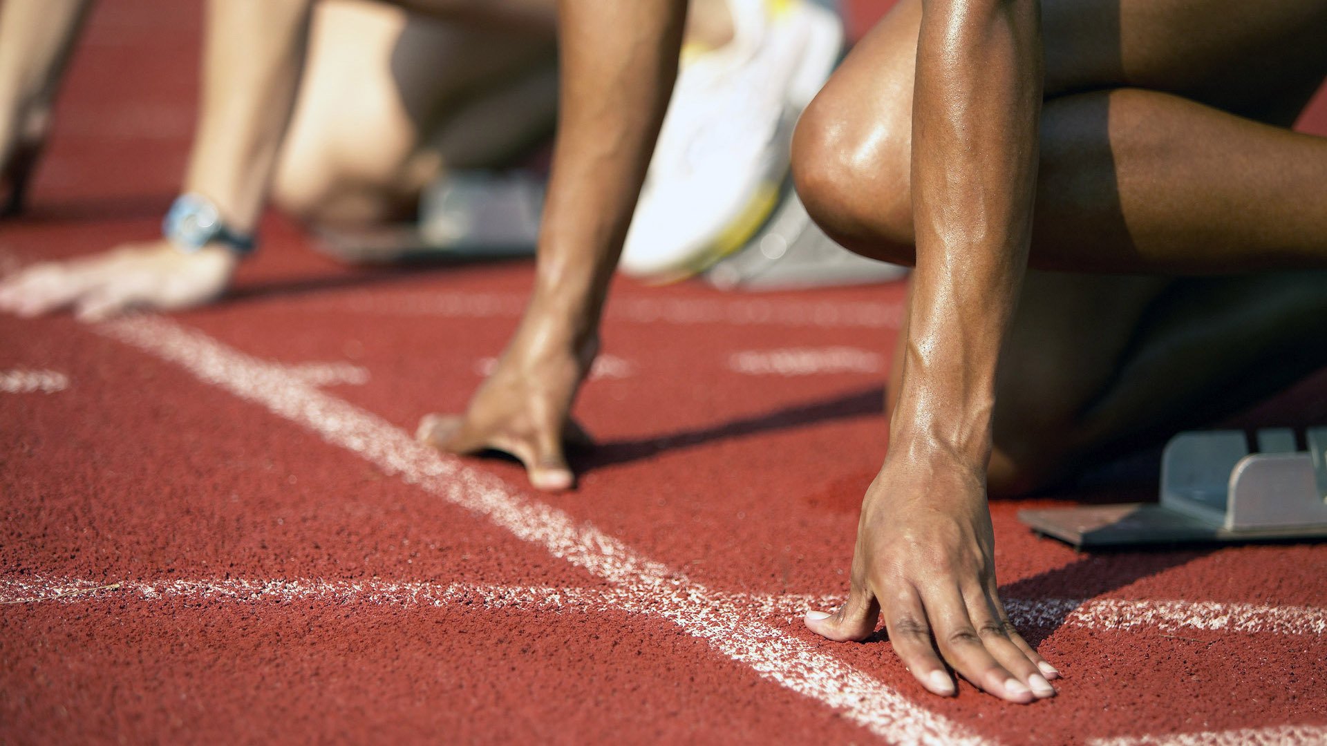 希腊女篮在欧洲锦标赛中再登宝座，诠释传承与创新，希腊女球迷